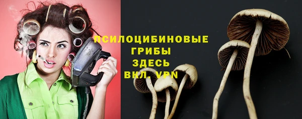 марки nbome Армянск