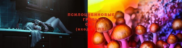 дмт Аркадак