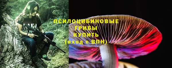 дмт Аркадак