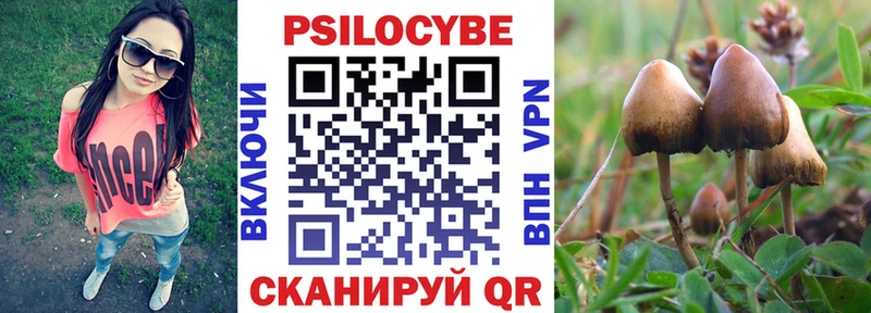 наркошоп  Устюжна  Галлюциногенные грибы ЛСД 